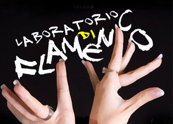 Laboratorio di Flamengo